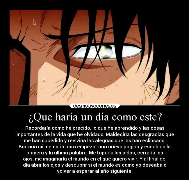 ¿Que haría un día como este? - Recordaría como he crecido, lo que he aprendido y las cosas
importantes de la vida que he olvidado. Maldeciría las desgracias que
me han sucedido y reviviría las alegrías que las han eclipsado.
Borraría mi memoria para empezar una nueva página y escribiría la
primera y la ultima palabra. Me taparía los oídos, cerraría los
ojos, me imaginaría el mundo en el que quiero vivir. Y al final del
día abrir los ojos y descubrir si el mundo es como yo deseaba o
volver a esperar al año siguiente.