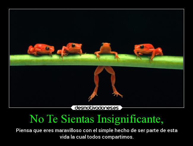 No Te Sientas Insignificante, - Piensa que eres maravilloso con el simple hecho de ser parte de esta
vida la cual todos compartimos.