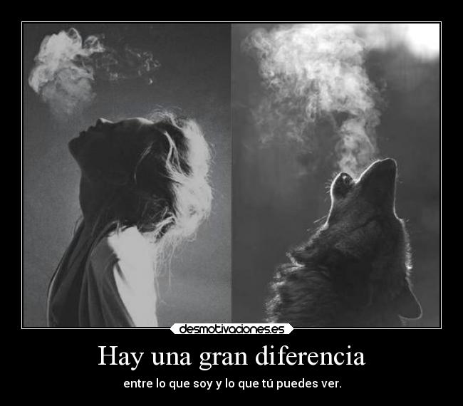 Hay una gran diferencia -