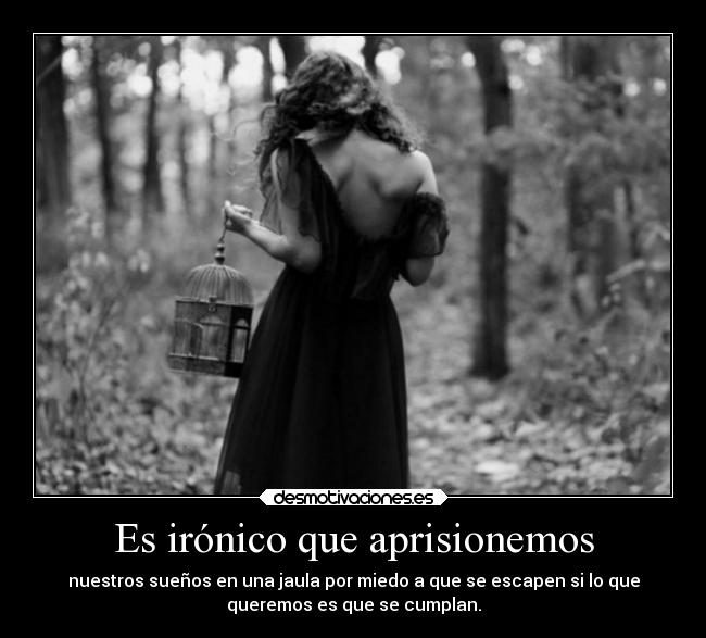 Es irónico que aprisionemos -