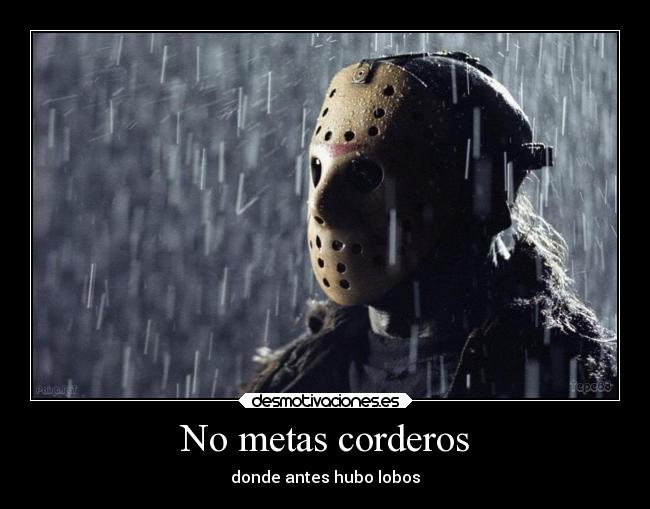 No metas corderos - donde antes hubo lobos