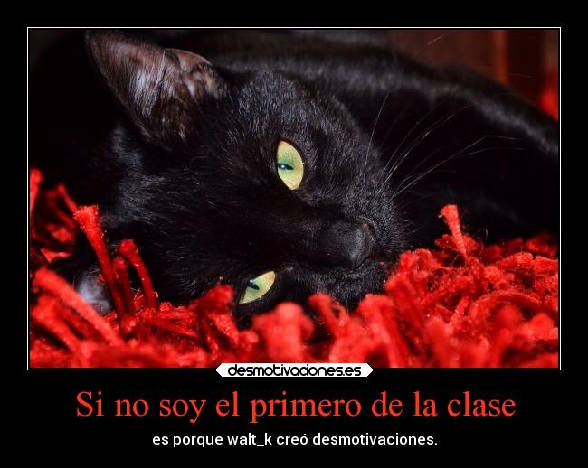 Si no soy el primero de la clase - 