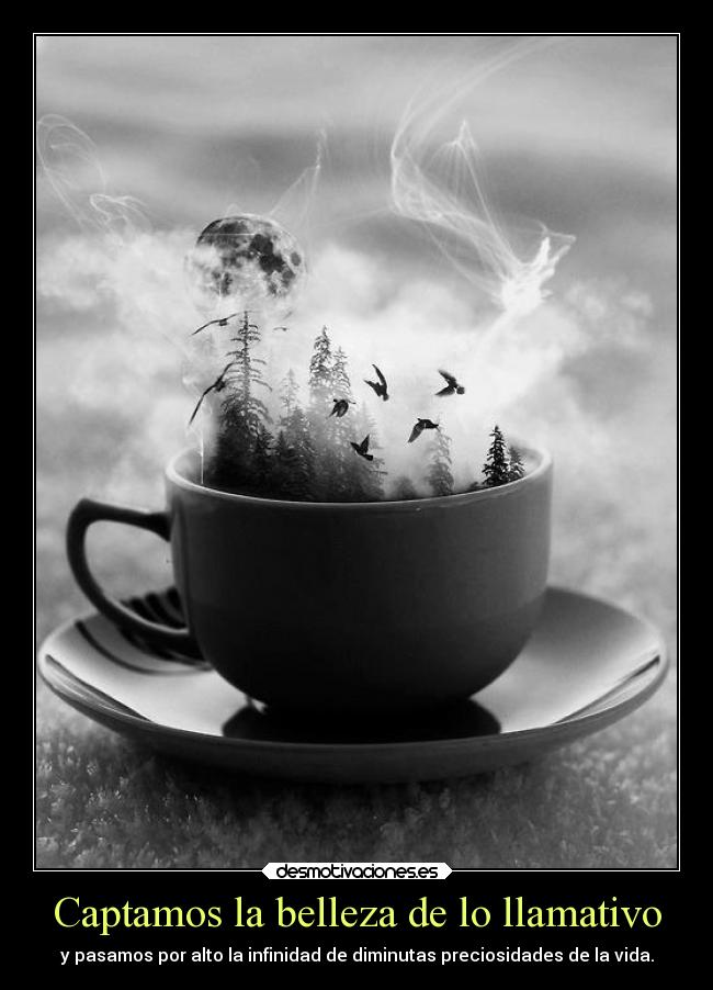 Captamos la belleza de lo llamativo -