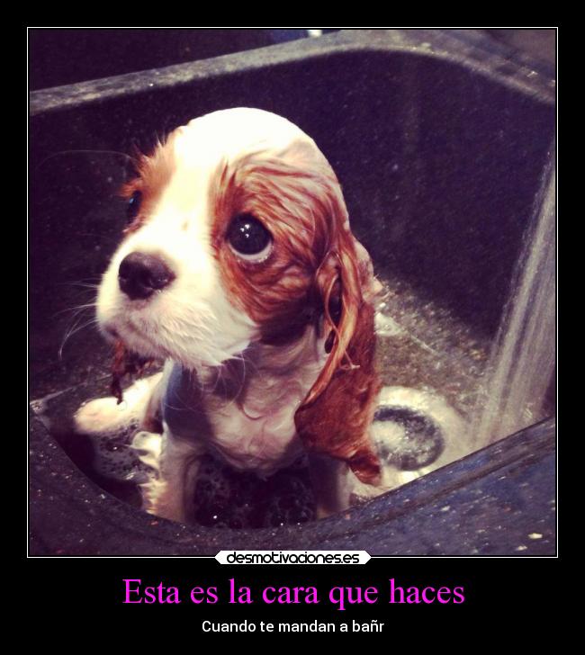 Esta es la cara que haces - 