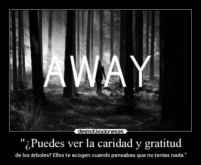 ¿Puedes ver la caridad y gratitud - 