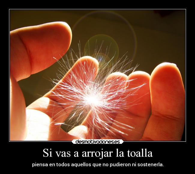 Si vas a arrojar la toalla -