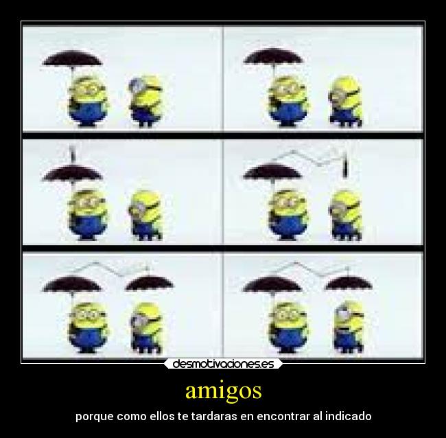 amigos -