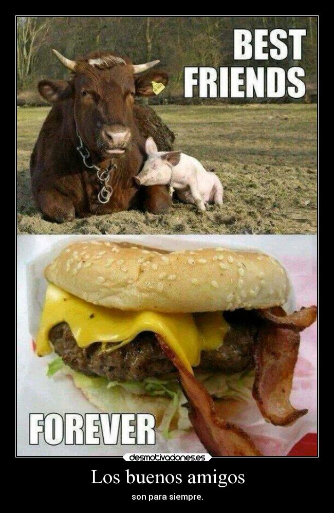 Los buenos amigos - 
