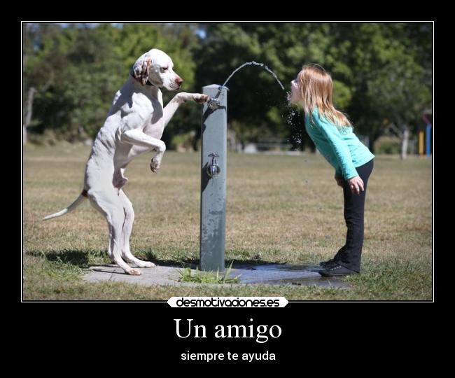 carteles amigos desmotivaciones