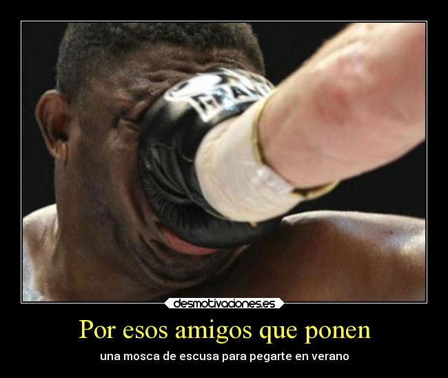 Por esos amigos que ponen - una mosca de escusa para pegarte en verano