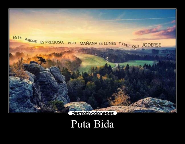Puta Bida -