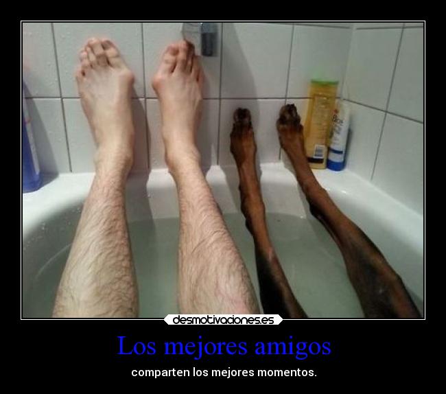Los mejores amigos -