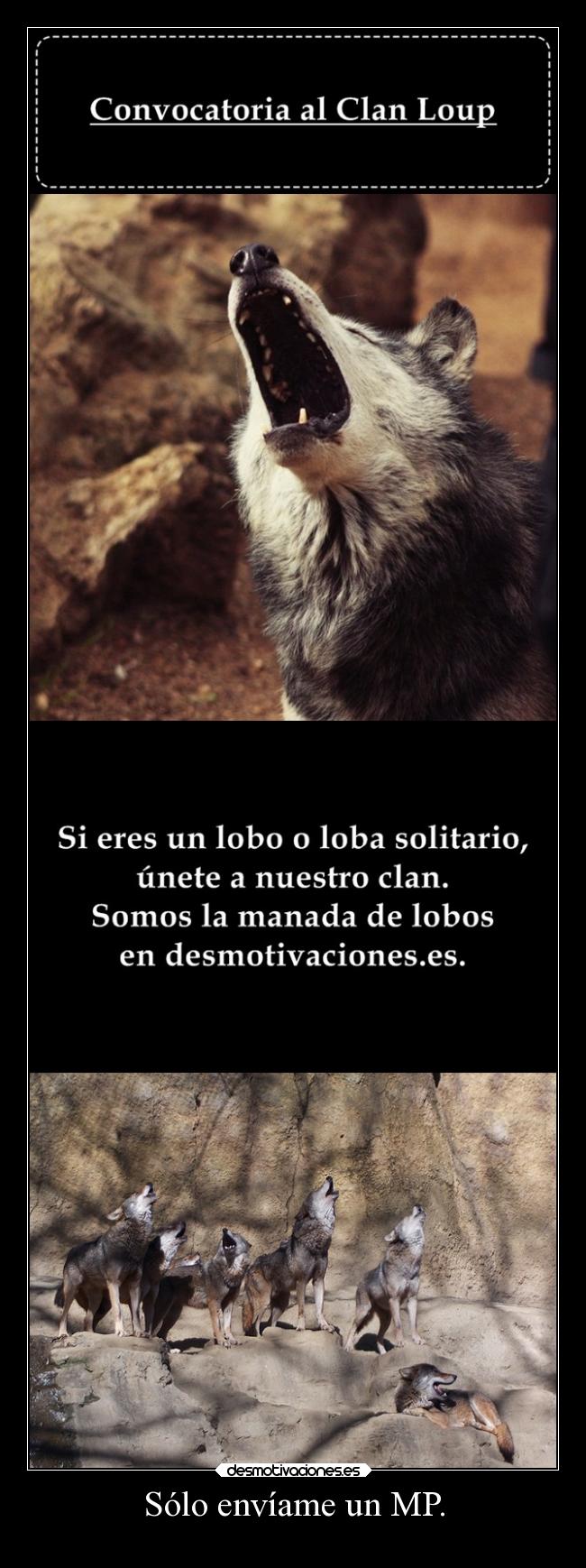 carteles amistad amigos desmotivaciones animales clanloup delolvido desmotivaciones