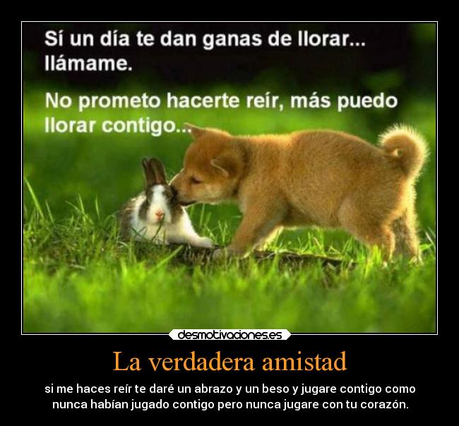 La verdadera amistad -