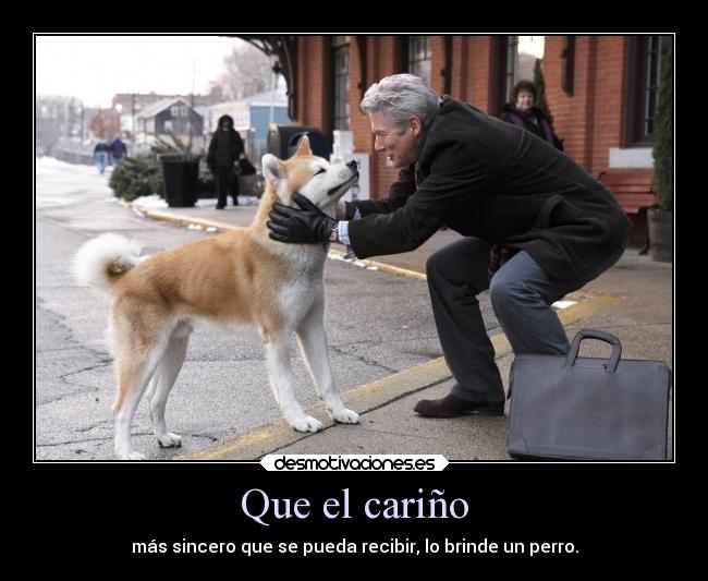 carteles amistad animales vida carino desmotivaciones