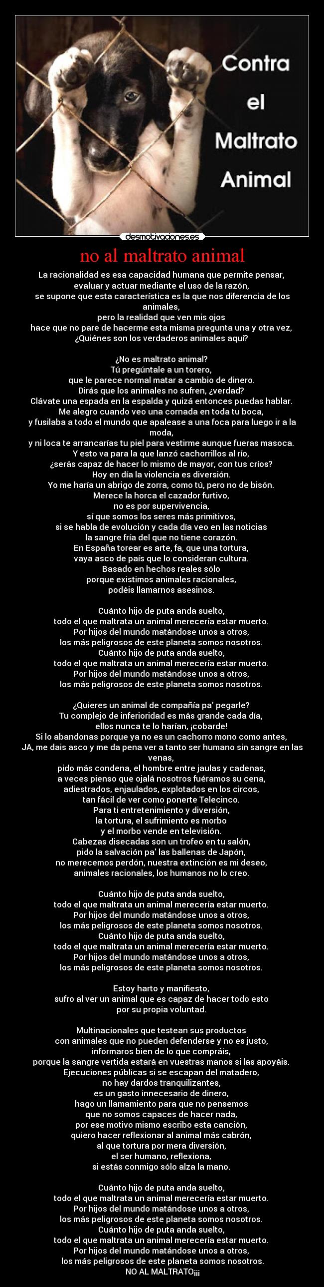 no al maltrato animal -