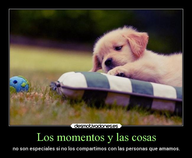 Los momentos y las cosas - 