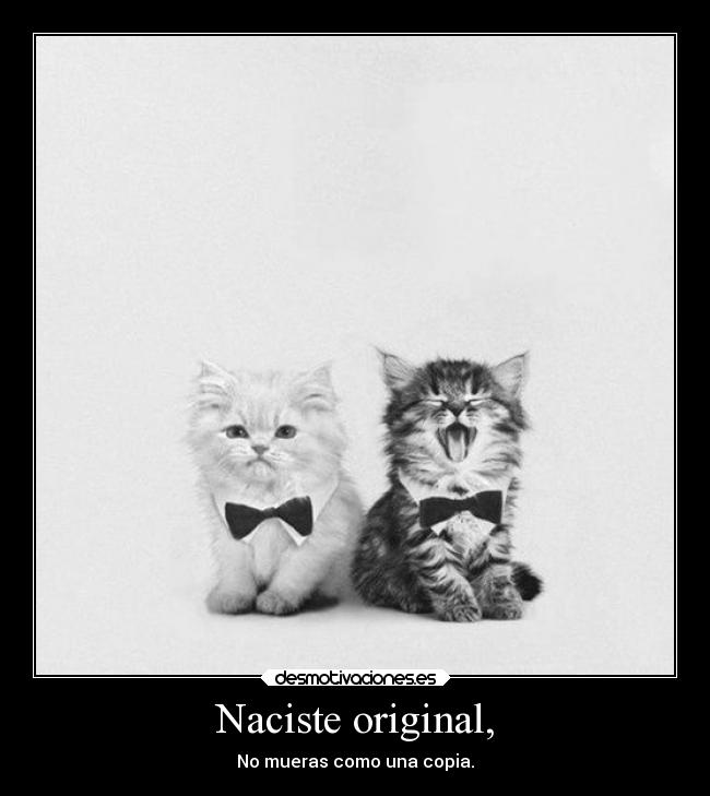 carteles amistad original copia desmotivaciones