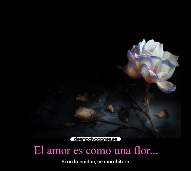 El amor es como una flor... - 