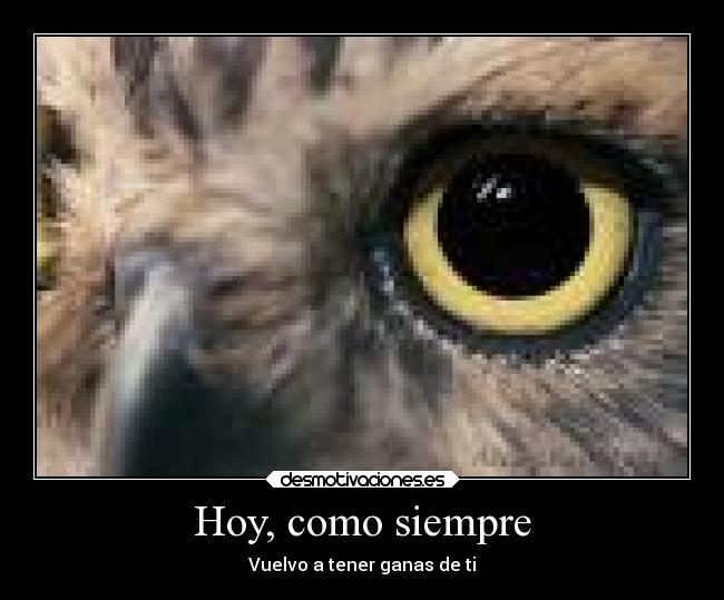 Hoy, como siempre - Vuelvo a tener ganas de ti