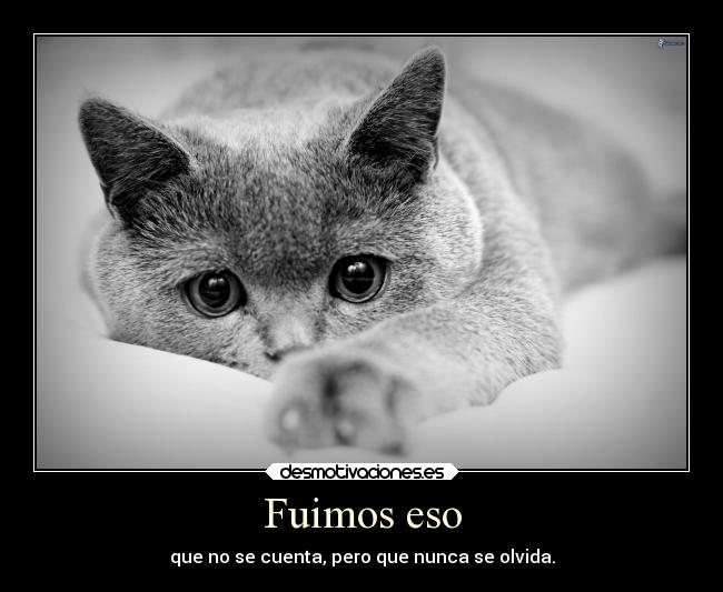 Fuimos eso - que no se cuenta, pero que nunca se olvida.