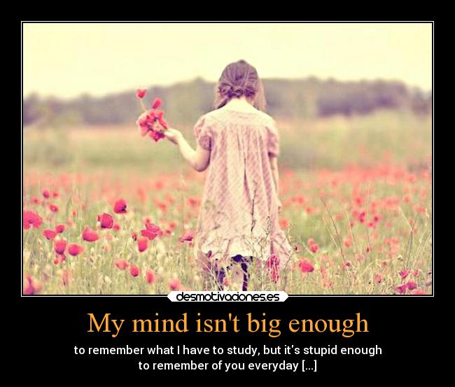 My mind isnt big enough - to remember what I have to study, but its stupid enough
to remember of you everyday [...]