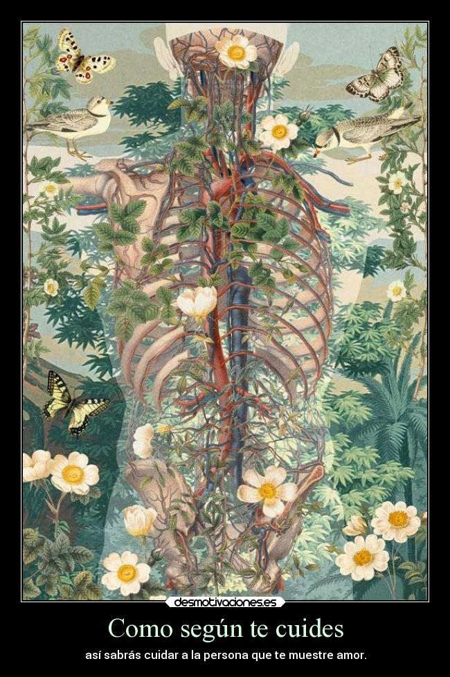 Como según te cuides - así sabrás cuidar a la persona que te muestre amor.