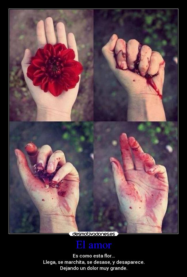 El amor - Es como esta flor...
Llega, se marchita, se desase, y desaparece.
Dejando un dolor muy grande.