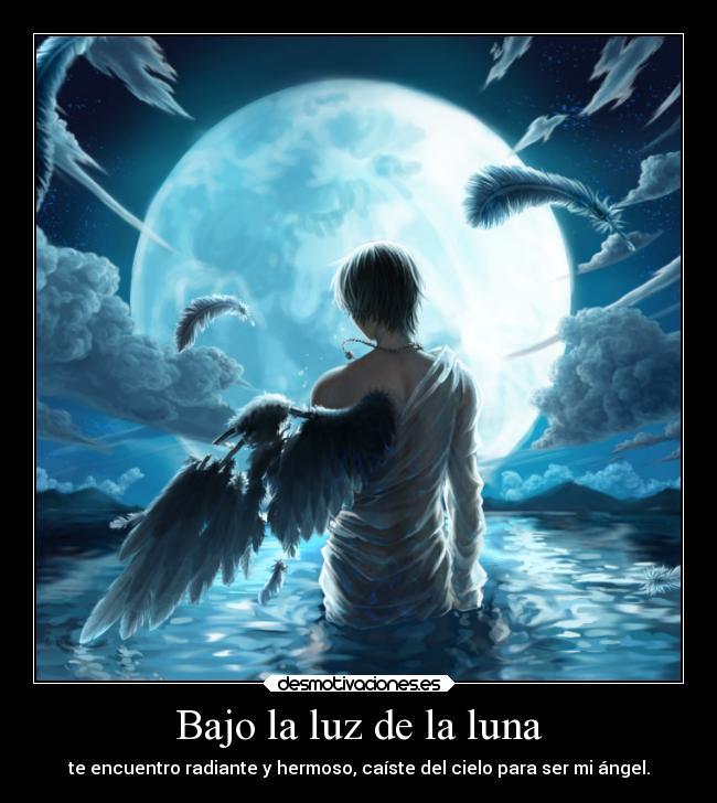 Bajo la luz de la luna - te encuentro radiante y hermoso, caíste del cielo para ser mi ángel.