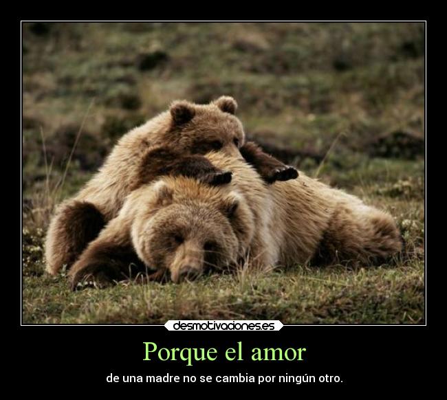 Porque el amor - de una madre no se cambia por ningún otro.