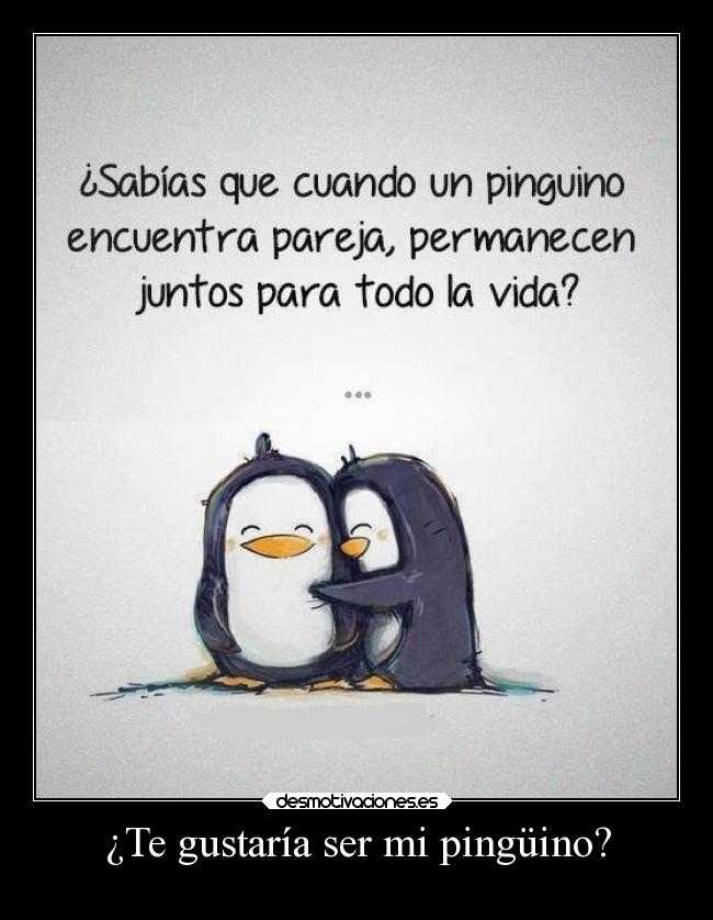 ¿Te gustaría ser mi pingüino? -
