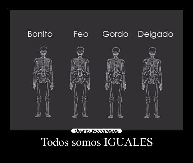 carteles amor mundo sociedad igual iguales todo igualdad gordo feo guapo delgado desmotivaciones