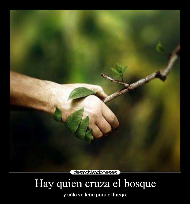 Hay quien cruza el bosque - 