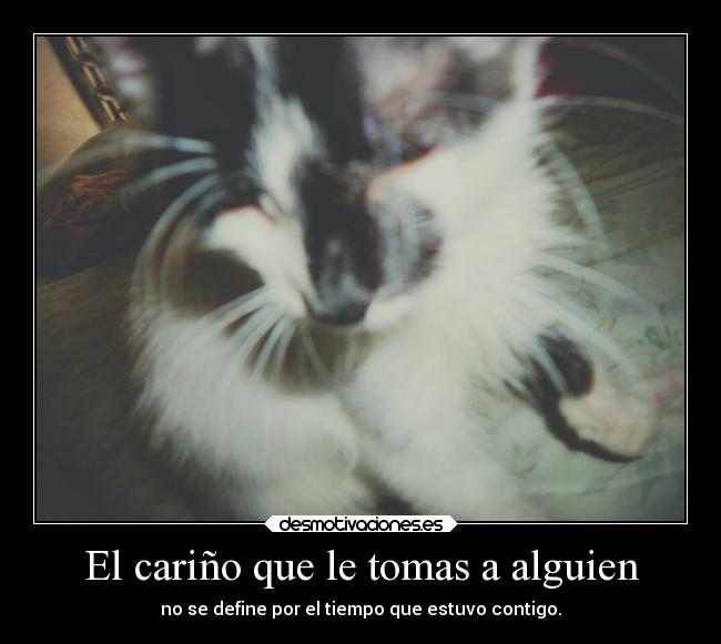 carteles amor shippo imgonnamissyou fotografiademishippo doyourememberthat avenovoladora santi desmotivaciones