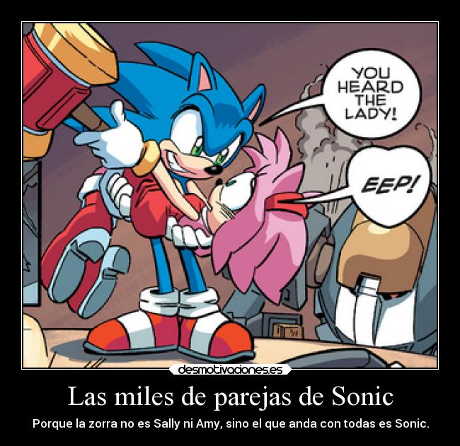 Las miles de parejas de Sonic - Porque la zorra no es Sally ni Amy, sino el que anda con todas es Sonic.