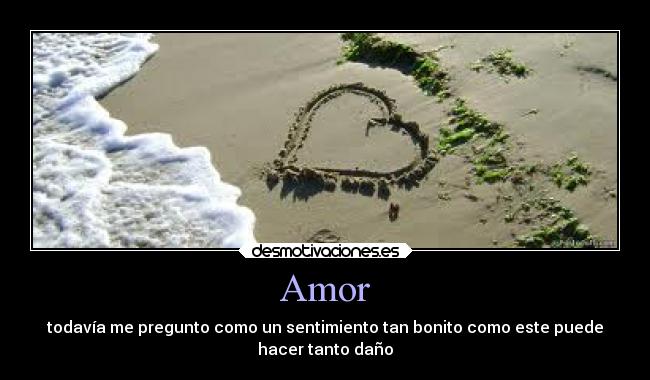 Amor -