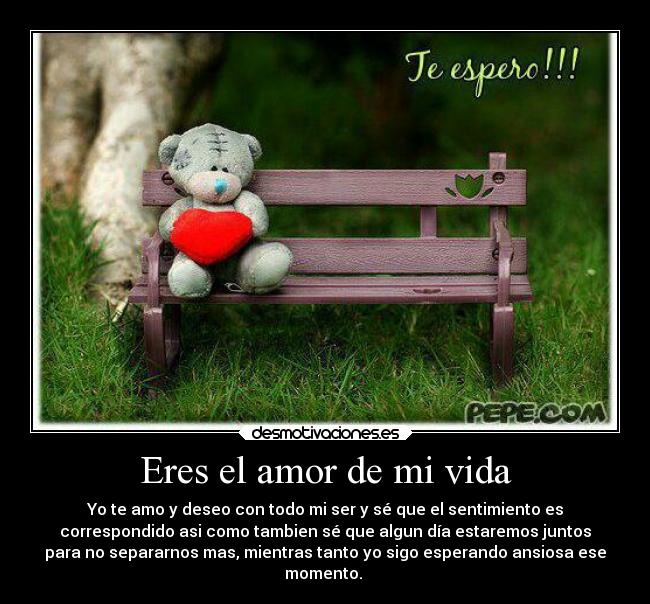 Eres el amor de mi vida - Yo te amo y deseo con todo mi ser y sé que el sentimiento es
correspondido asi como tambien sé que algun día estaremos juntos
para no separarnos mas, mientras tanto yo sigo esperando ansiosa ese
momento. ♥