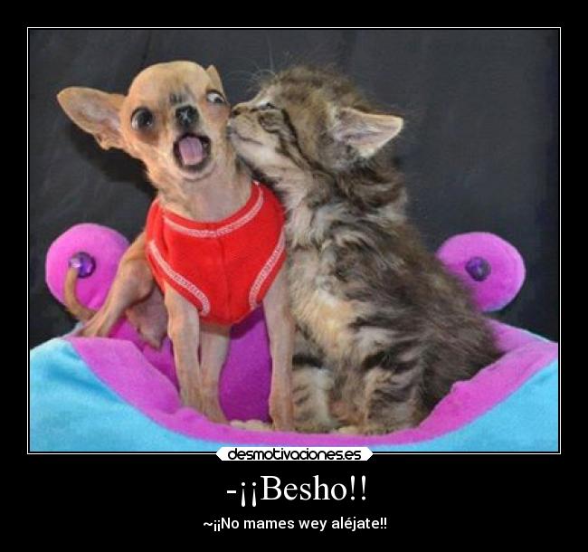 -¡¡Besho!! -
