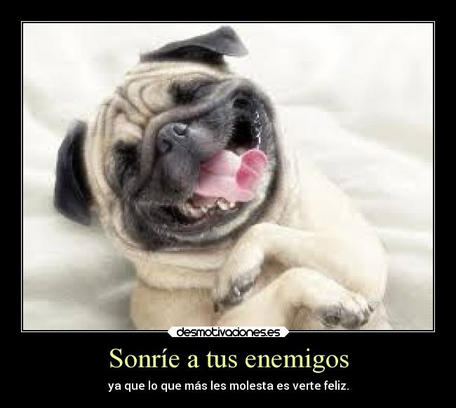 Sonríe a tus enemigos - ya que lo que más les molesta es verte feliz.
