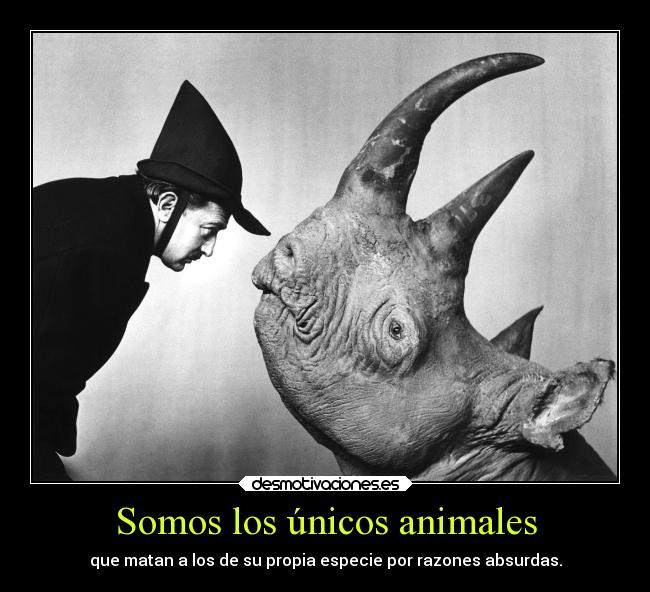 carteles animales arte animales ignoranciahumana desmotivaciones