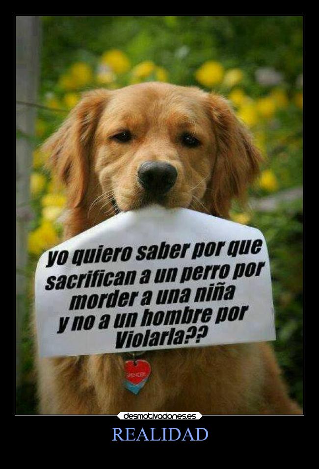 REALIDAD -
