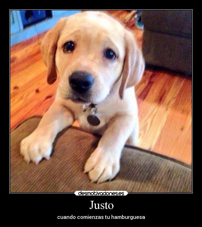 Justo -