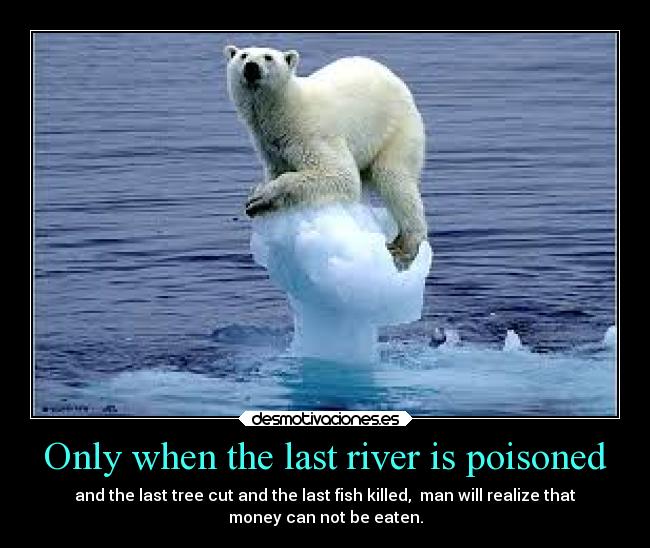 carteles animales desmotivaciones