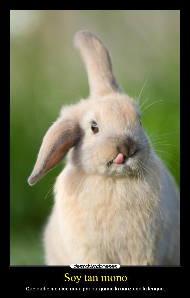 Soy tan mono -