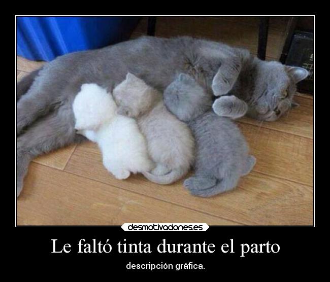 Le faltó tinta durante el parto - descripción gráfica.