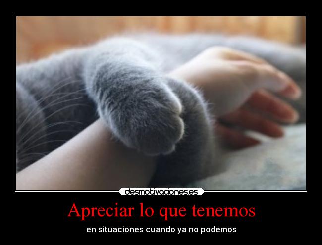 Apreciar lo que tenemos - 