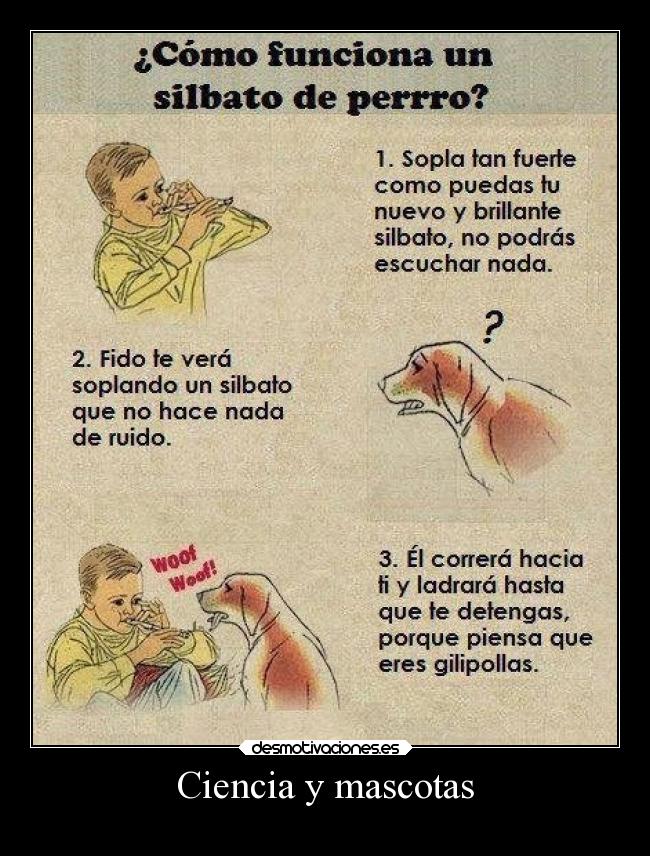 Ciencia y mascotas -