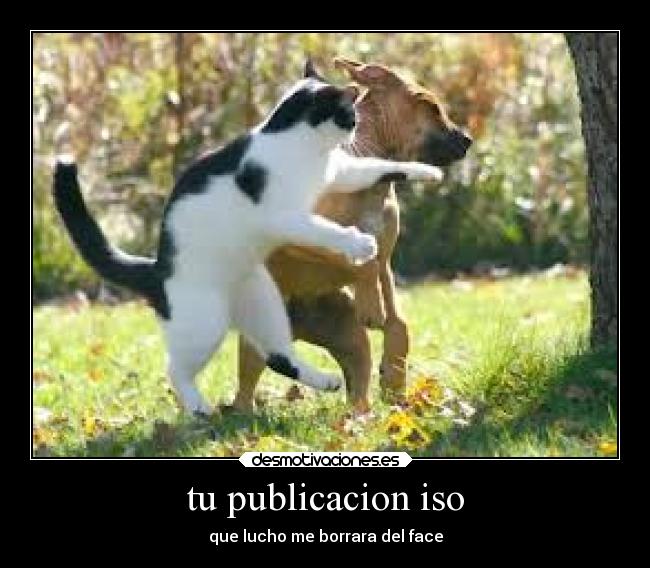tu publicacion iso -