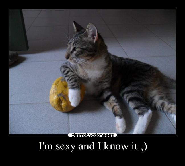 Im sexy and I know it ;) -