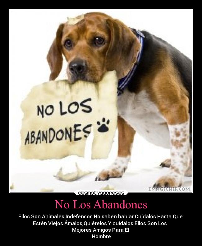 No Los Abandones -